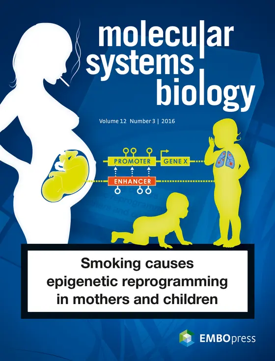Rauchen während der Schwangerschaft verändert das Erbgut des Kindes