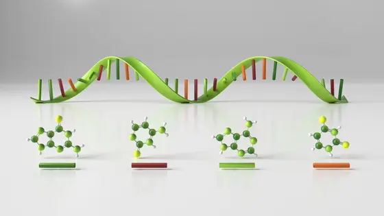 Non-protein-coding RNA molecules perform a variety of functional, regulatory or structural tasks in the cell.
