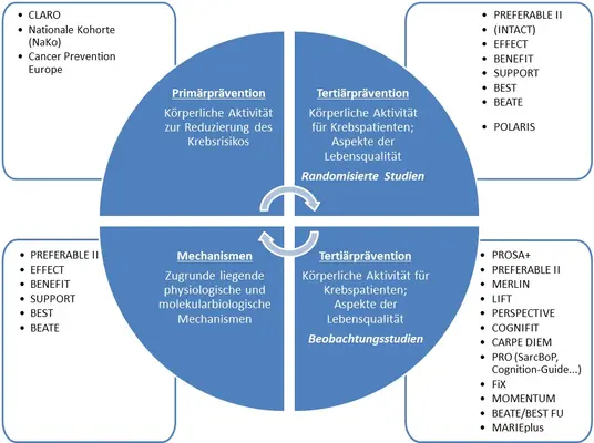 Diagramm, das vier Bereiche der Krebsprävention und -forschung darstellt: Primärprävention, Tertiärprävention, Mechanismen und dazugehörige Studienansätze. Jeder Bereich enthält spezifische Studien und deren Ziele zur Reduzierung des Krebsrisikos und zur Verbesserung der Lebensqualität von Patienten.