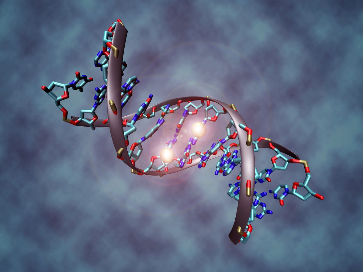 Epigenetic profiling identifies potential COPD treatment targets ...