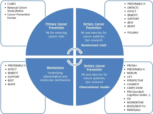 A four-part diagram illustrating cancer prevention strategies: 1. Primary Cancer Prevention focusing on physical activity (PA) to reduce cancer risks. 2. Tertiary Cancer Prevention for exercise in cancer patients and quality of life (QoL) research. 3. Mechanisms exploring physiological and molecular factors. 4. Each quadrant references studies and programs related to these themes.