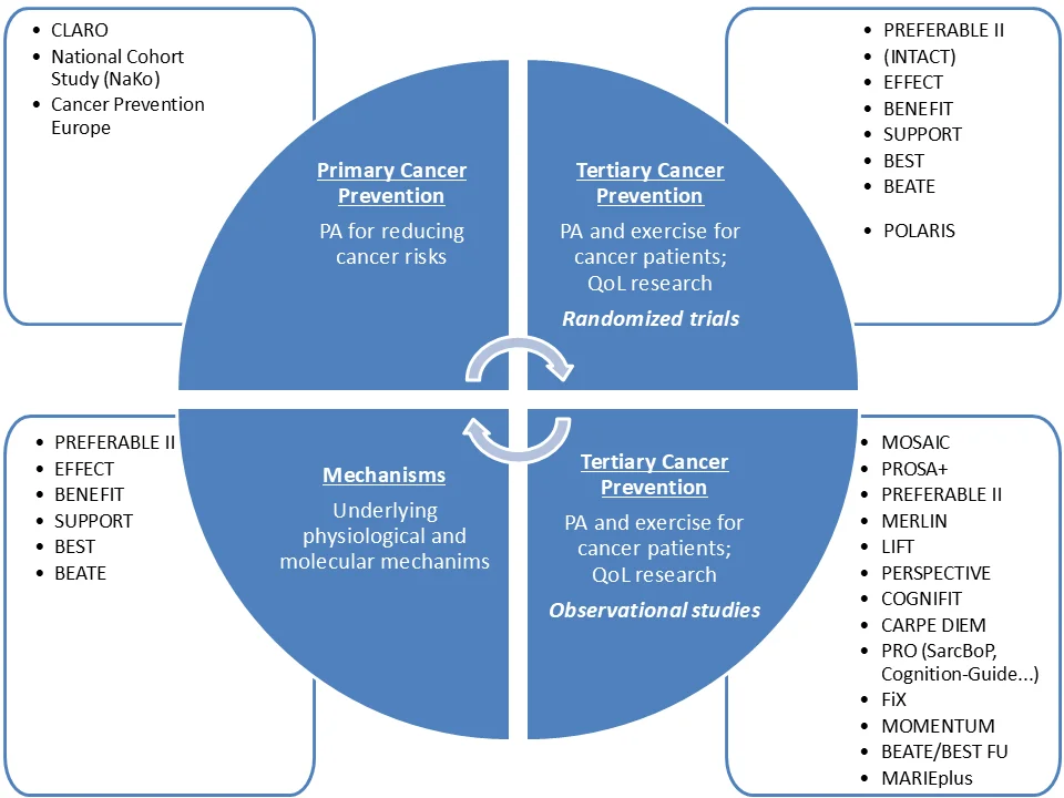 This diagram illustrating four areas of cancer prevention and research: primary prevention, tertiary prevention (observational and randomized studies), mechanisms, and the classification of our department’s studies