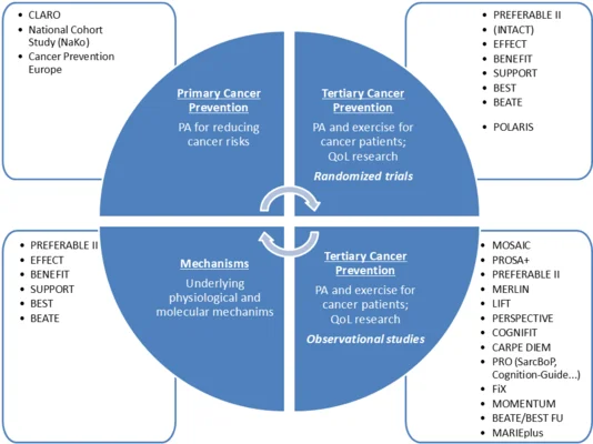 This diagram illustrating four areas of cancer prevention and research: primary prevention, tertiary prevention (observational and randomized studies), mechanisms, and the classification of our department’s studies