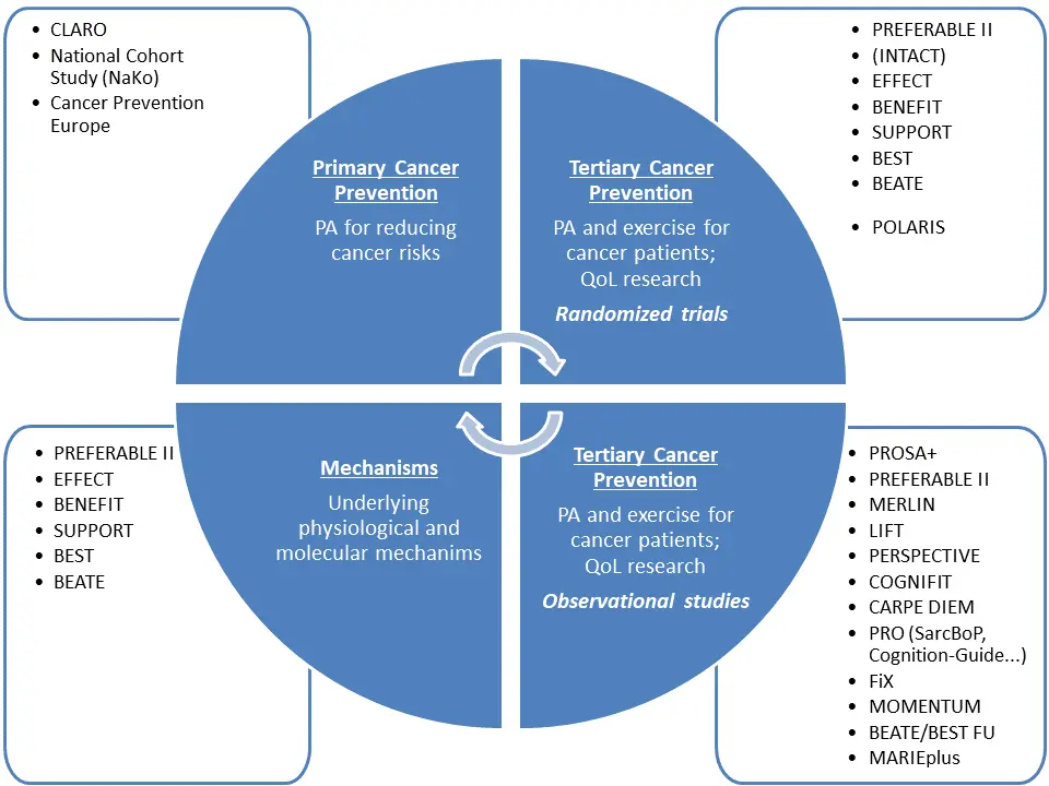 A four-part diagram illustrating cancer prevention strategies: 1. Primary Cancer Prevention focusing on physical activity (PA) to reduce cancer risks. 2. Tertiary Cancer Prevention for exercise in cancer patients and quality of life (QoL) research. 3. Mechanisms exploring physiological and molecular factors. 4. Each quadrant references studies and programs related to these themes.