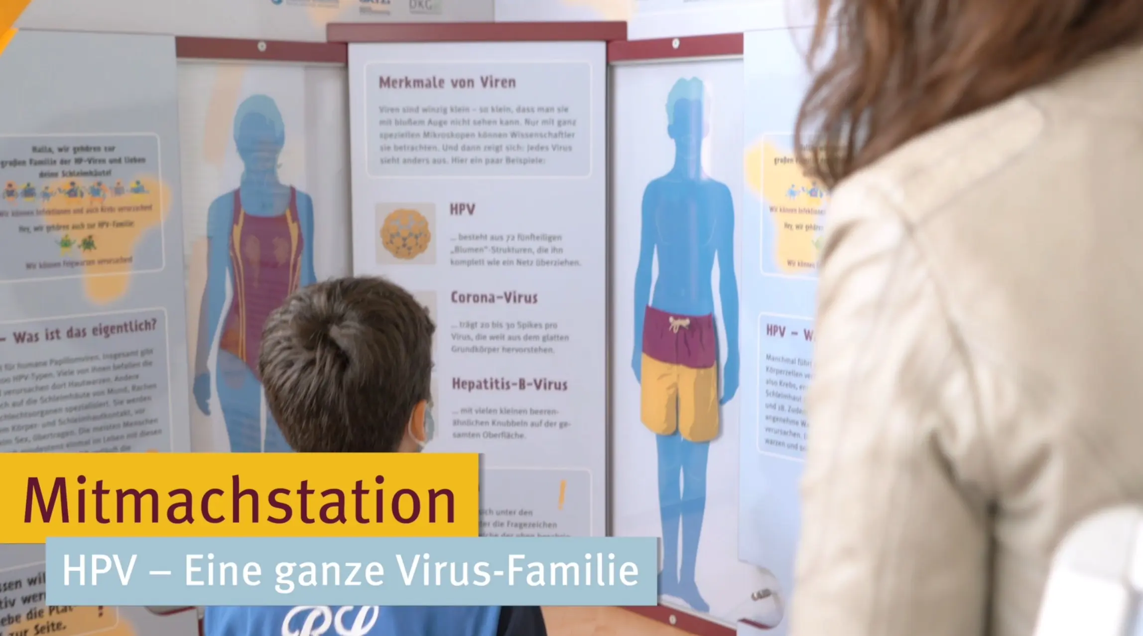 Mitmachstation zu HPV und anderen Viren. Im Vordergrund sind zwei Personen, die einem Informationsplakat über Viren und deren Eigenschaften folgen. Das Plakat zeigt eine schematische Darstellung des menschlichen Körpers und enthält Informationen zu HPV, Corona-Virus und Hepatitis-B-Virus.