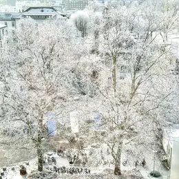 Eine winterliche Landschaft mit schneebedeckten Bäumen. Der Boden ist mit einer weißen Schneeschicht bedeckt. Im Vordergrund sind mehrere Fahrräder zu sehen, die an einem Fahrradständer abgestellt sind. Der Himmel und die Umgebung wirken frostig und klar.