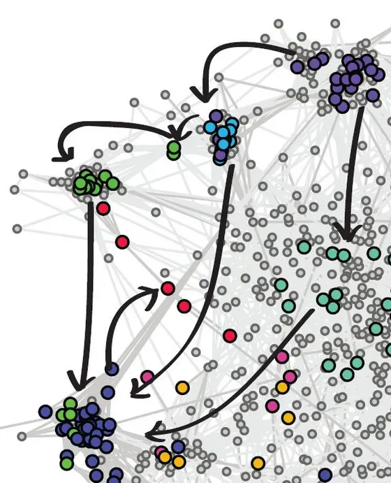 Genetic interaction network analysis identifies protein complexes and other groups of closely cooperating proteins (colored dots). Directed interactions of proteins or whole groups, with each other are shown with the arrows.