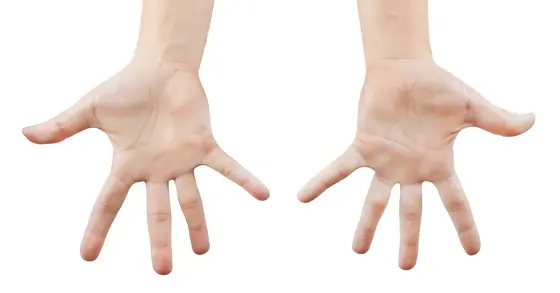Hands - a prime example of mirror-image biology
