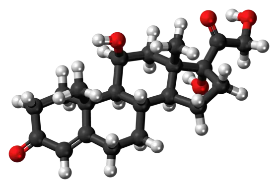 Ball-and-stick model of the cortisol molecule