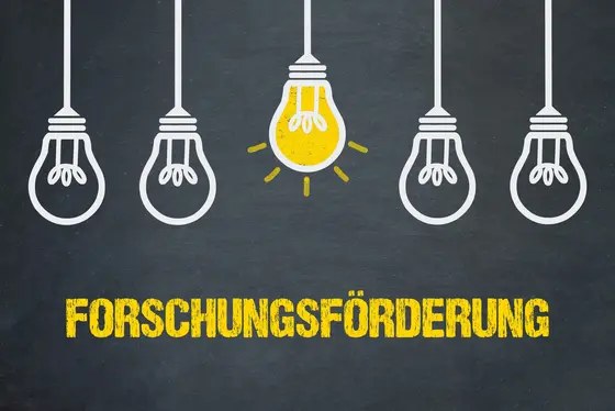 Bildbeschreibung: Fünf Glühbirnen sind angeordnet, von denen eine in leuchtendem Gelb hervorsticht. Darunter steht in großen, gelben Buchstaben das Wort „FORSCHUNGSFÖRDERUNG“. Das Bild symbolisiert innovative Ideen und Unterstützung für Forschungsprojekte.