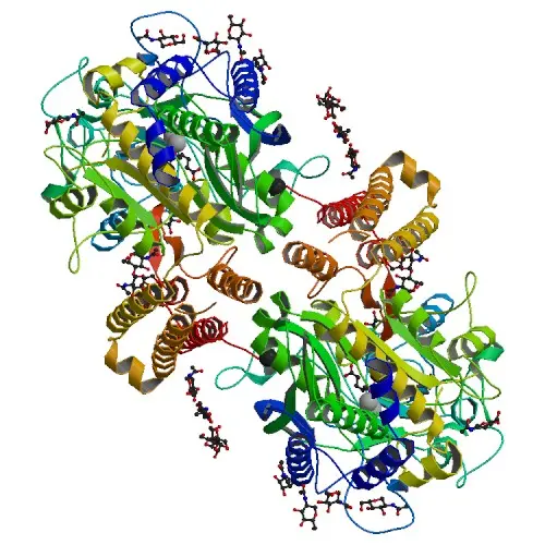 Das Prostata-spezifische Membranantigen (PSMA) ist das Zielmolekül für den im DKFZ entwickelten Wirkstoff 177-Lutetium-PSMA-617