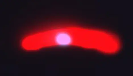 Als „Sporozoiten“ werden die einzelligen Malaria-Erreger beim Mückenstich auf den Menschen übertragen. Antikörper, die durch eine natürliche Infektion induziert werden, markieren das wichtigste Protein der Sporozoiten, das CSP (rot).