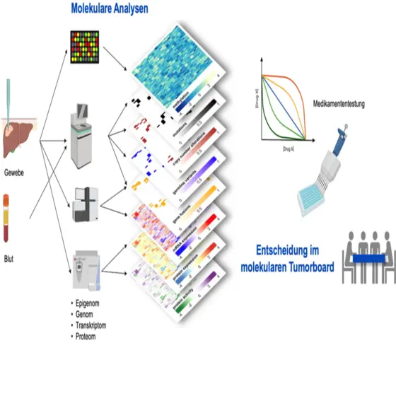 Die Grafik zeigt den Prozess molekularer Analysen, beginnend mit Gewebe- und Blutproben. Verschiedene Analysegeräte sind abgebildet, die zur Untersuchung von Epigenom, Genom, Transkriptom und Proteom genutzt werden. Am Ende steht die Entscheidung im molekularen Tumorboard für die Medikamentenunterstützung.