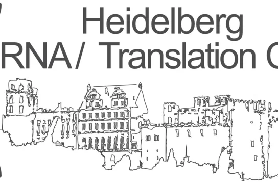 Heidelberg RNA Club logo
