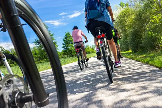 Mehrere Menschen fahren bei Sonnenschein mit Fahrrädern.