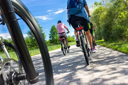 Mehrere Menschen fahren bei Sonnenschein mit Fahrrädern.