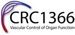 Das Bild zeigt das Logo des CRC1366, das für „Vascular Control of Organ Function“ steht. Der Schriftzug ist in Großbuchstaben gehalten, umgeben von grafischen Elementen, die die Verbindung von Gefäßen und Organen symbolisieren.