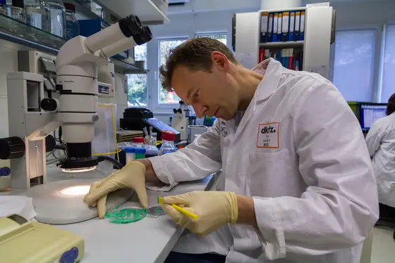 Howard Boland bereitet einen Untergrund vor, auf dem Zellen wachsen sollen