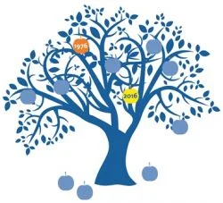 Ein stilisierter blauer Baum mit Äpfeln, der zwei Jahreszahlen hervorhebt: 1976 in Orange und 2016 in Gelb. Der Baum symbolisiert möglicherweise Wachstum oder Entwicklung über die Jahre hinweg.