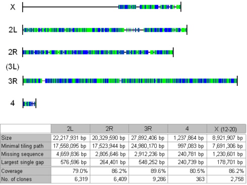 figure of shotgun clone genome coverage