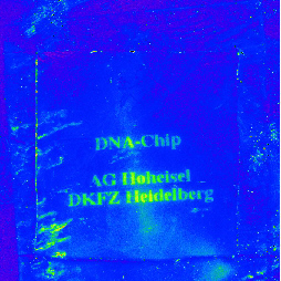 image of early in situ synthesised chip