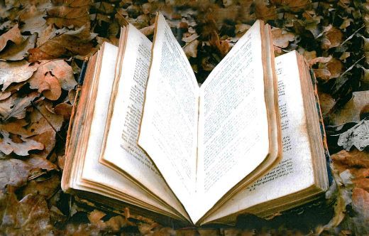 https://www.dkfz.de/zbi/images/title/herbstbuch520.jpg